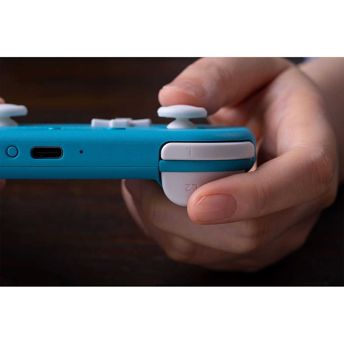8Bitdo Lite 2 Bluetooth Gamepad (Switch/Android/RaspBerry Pi) (Pink, Turquoise)