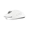 Logitech Pro X Superlight 2c Lightspeed Wireless Gaming Mouse