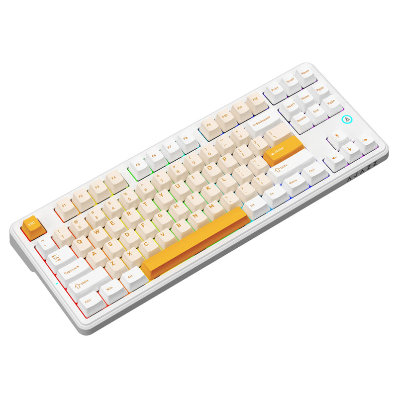 Ajazz AK870 V2 RGB Tri-Mode 87-Keys TKL Gasket-mounted Hot Swappable Mechanical Keyboard