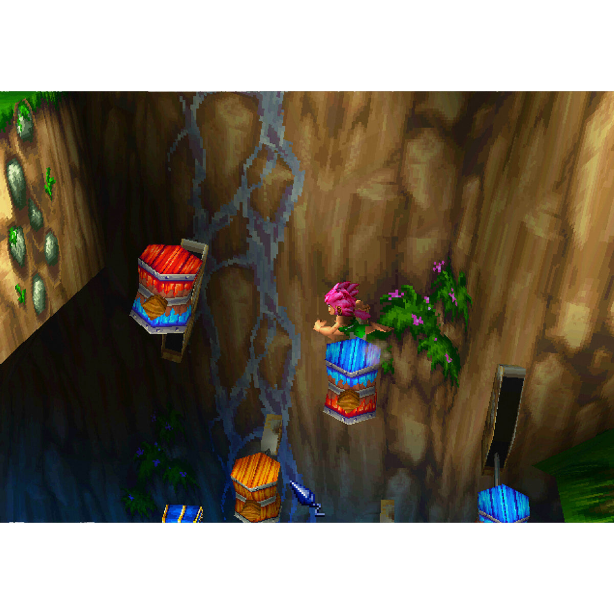Tomba! 2 The Evil Swine Return Special Edition