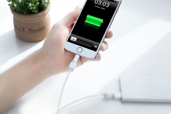 UGreen Iphone Charging Cable Protector (White) (LP127/40705)