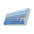 Ajazz AK870 RGB Tri-Mode 87-Keys TKL Gasket-mounted Hot Swappable Mechanical Keyboard (Gradient Blue) (Flying Fish Switch)