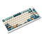 Akko MOD 007B HE PC Tri-Mode RGB Mechanical Keyboard (Joy of Life) (Akko Cream Yellow Magnetic Switch)