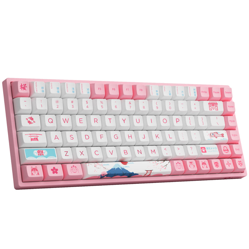 AKKO World Tour Tokyo R2 3084B Plus Hot-Swappable Multi-Mode RGB Mechanical Keyboard (AKKO CS Jelly Pink)