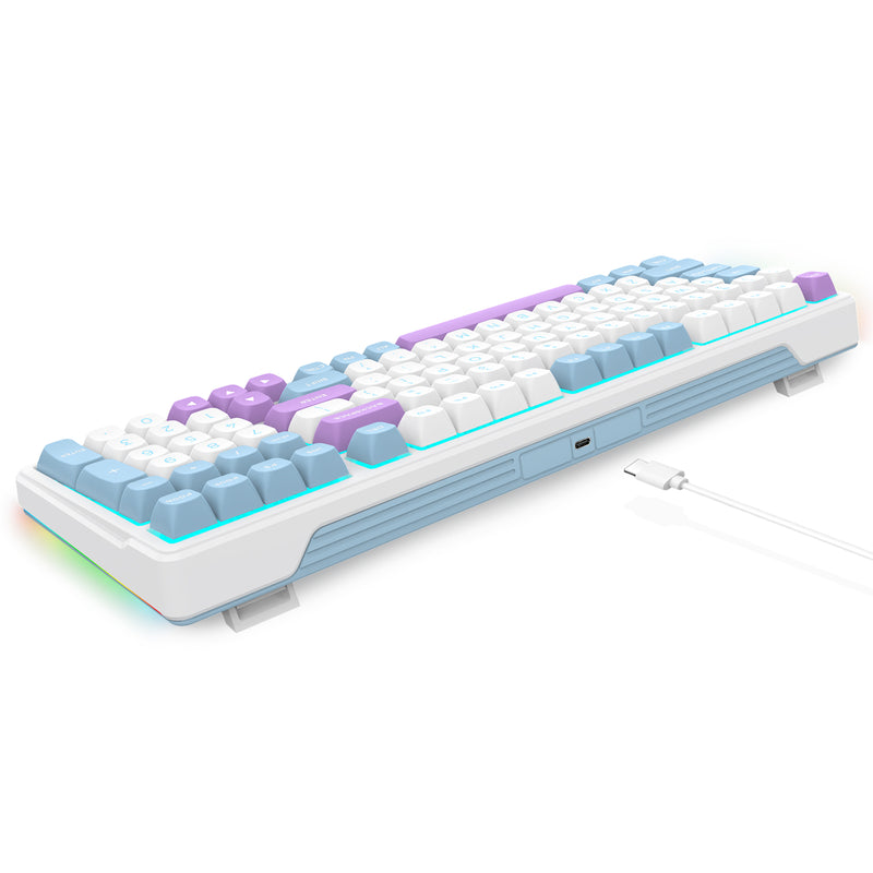 E-Yooso Z-99 RGB 99-Keys Wired Mechanical Keyboard Blue/White/Purple (Blue Switch)