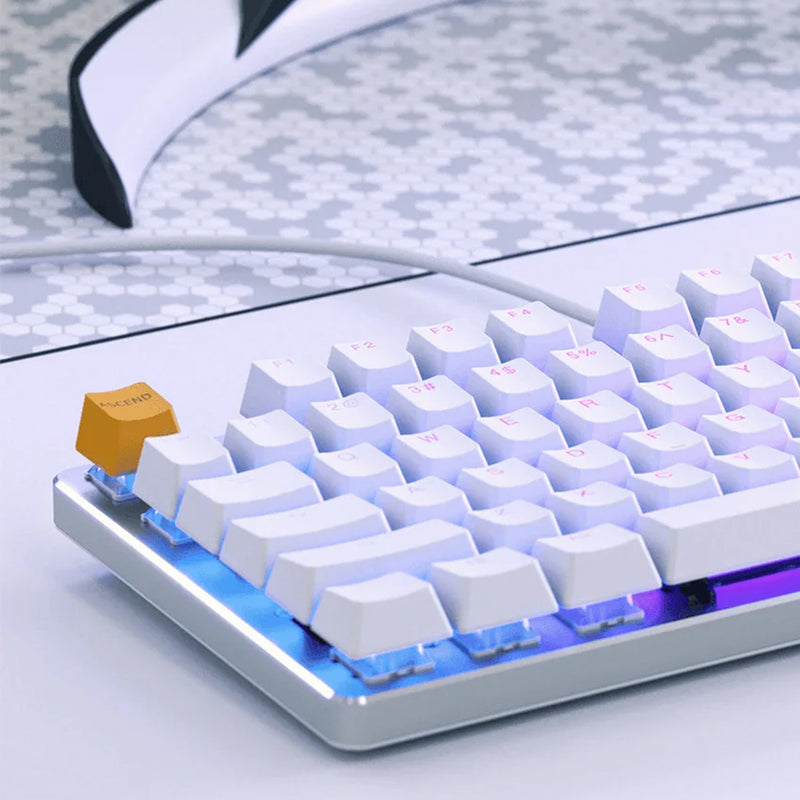 Glorious PC Gaming Race Modular Mechanical Keyboard GMMK Tenkeyless (Brown Switches) (White)