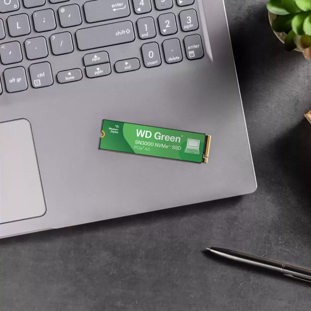 WD Green SN3000 2TB NVMe PCIe Gen 4.0 M.2 2280 Up to 5,000MB/s Read Internal SSD (WDS200T4G0E-00CPS0)