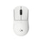 Logitech Pro X Superlight 2c Lightspeed Wireless Gaming Mouse