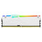 Kingston Fury Beast 32GB (1X32GB) DDR5 RGB Expo 5600MT/S CL36 Memory (White) | DataBlitz