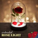 Paladone Beauty and The Beast Enchanted Rose Light (PP4344DPV3)