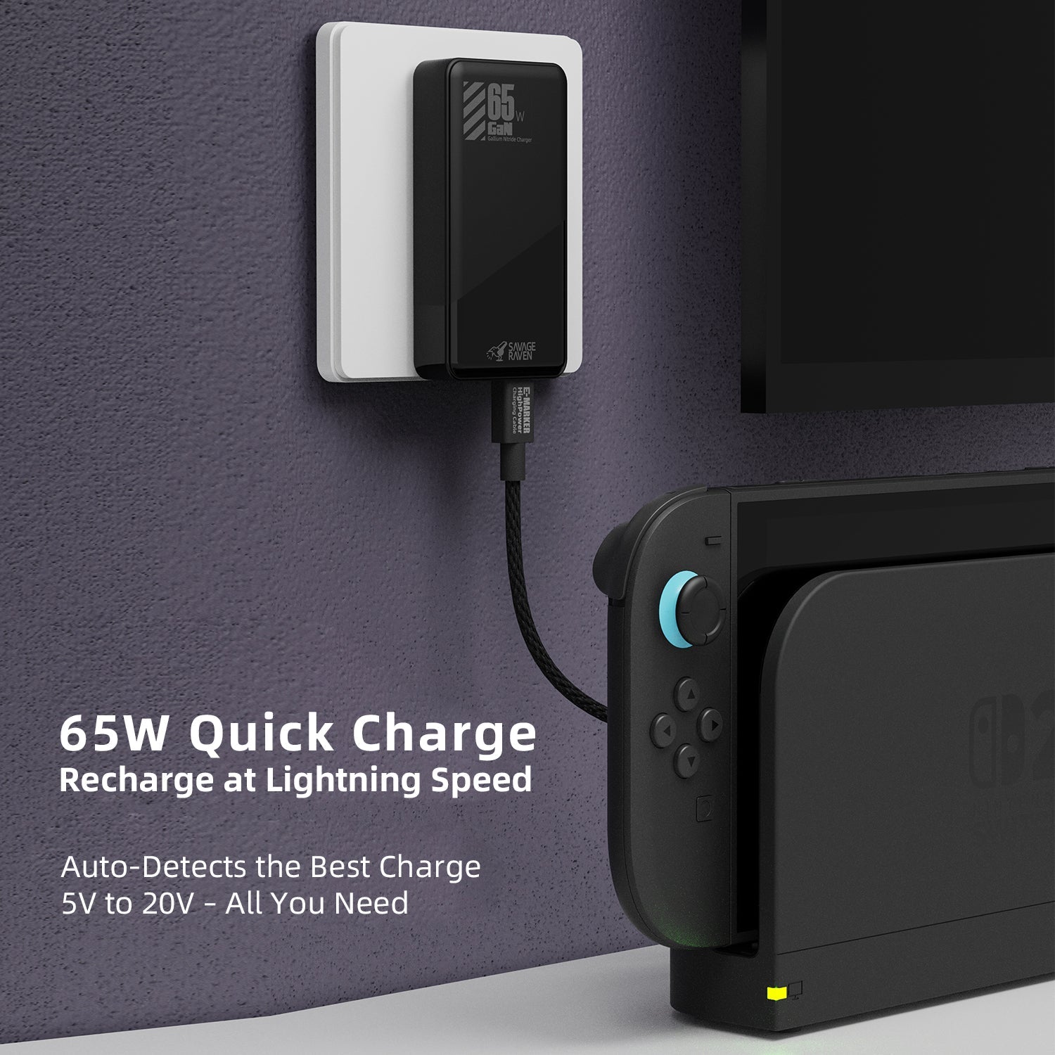 Skull GaN 65W Ultra Slim AC Adapter for Nintendo Switch Steam  Deck ROG Ally Other Smart Devices (Black) (CH-US65-BK)