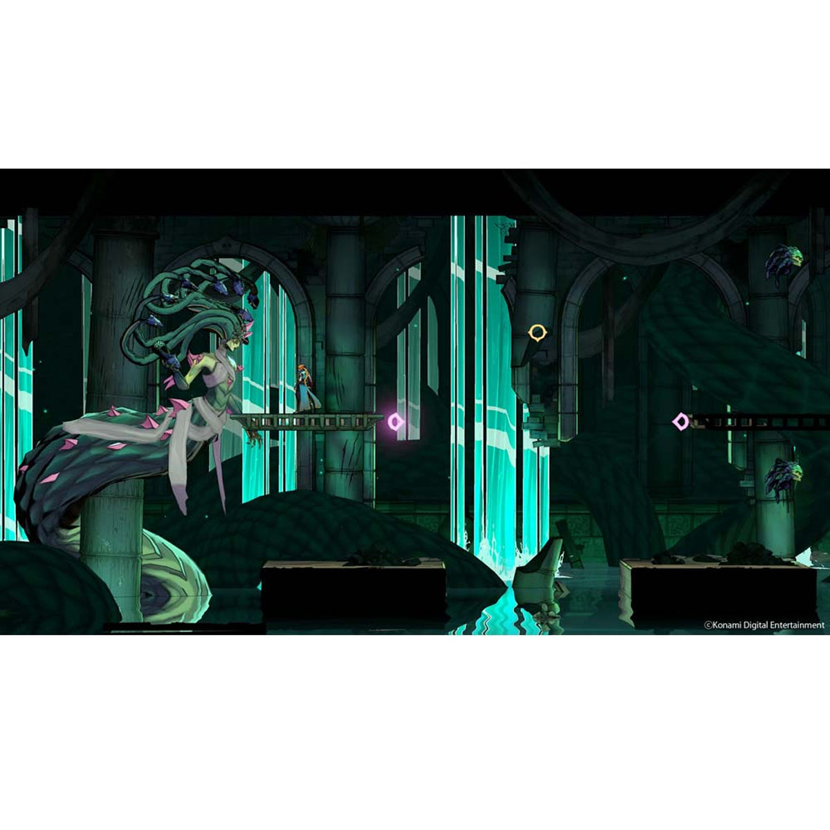 Castlevania Belmonts Curse Midnight Edition