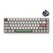 AKKO 9009 RETRO 3068 MECHANICAL KEYBOARD (CHERRY MX BROWN)