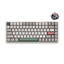 AKKO 9009 RETRO 3084 MECHANICAL KEYBOARD (CHERRY MX RED)