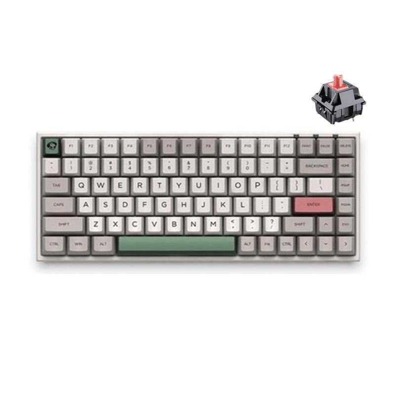 AKKO 9009 RETRO 3084 MECHANICAL KEYBOARD (CHERRY MX RED)