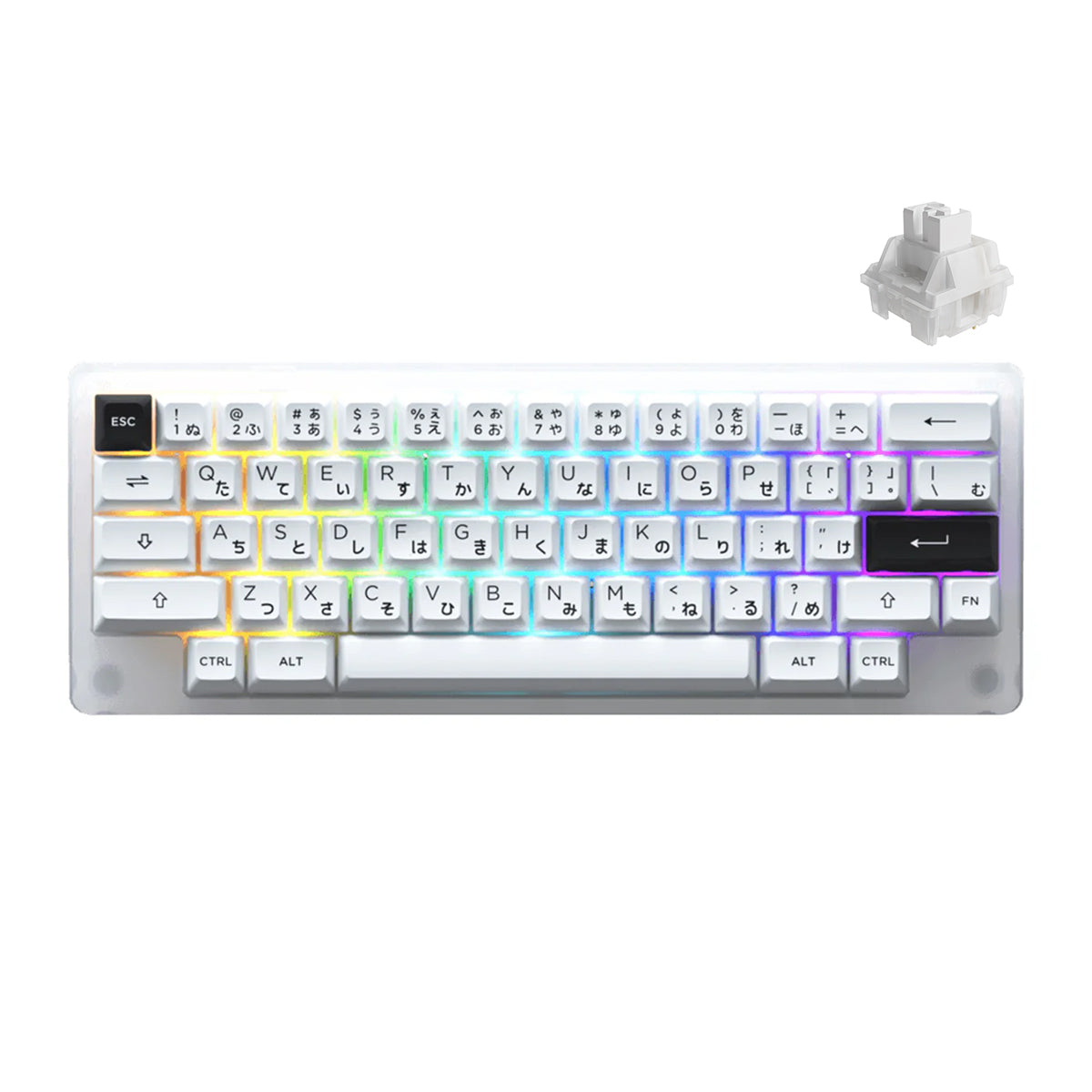 AKKO ACR59 COMBO RGB (SMD LED & UNDERGLOW) HOT-SWAPPABLE ACRYLIC MECHANICAL KEYBOARD BLACK ON WHITE (JELLY WHITE SWITCHES)