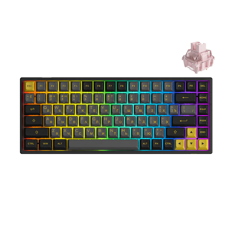 Akko Black & Gold 3084B Plus Multi-Modes RGB Mechanical Keyboard (Akko X TTC Princess)