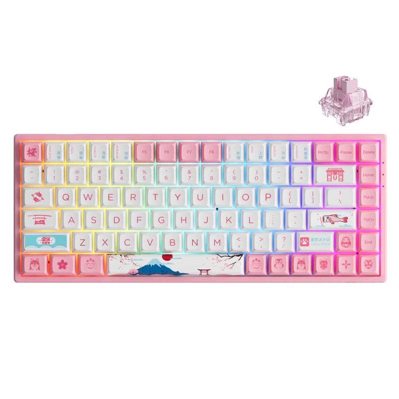 AKKO World Tour Tokyo R2 3084B Plus Mechanical Keyboard (AKKO CS Jelly Pink)