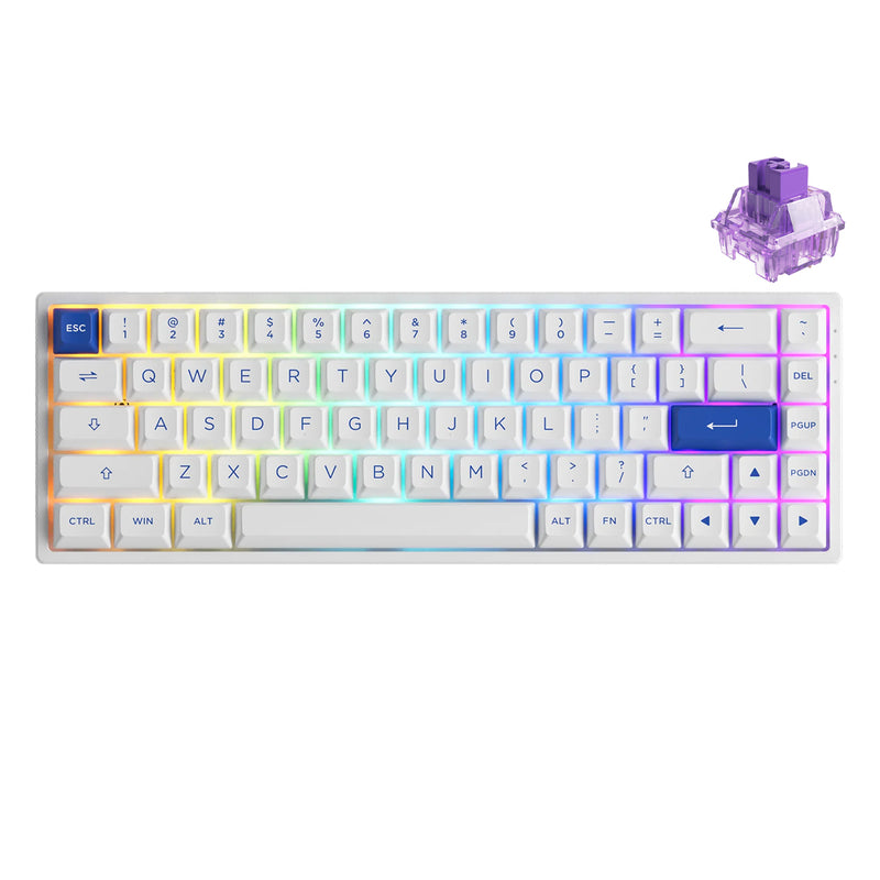 Akko Blue on White 3068B Plus Multi-Modes RGB Mechanical Keyboard (Akko CS Jelly Purple)