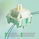 Akko Cilantro Tactile Switch (45 pcs)