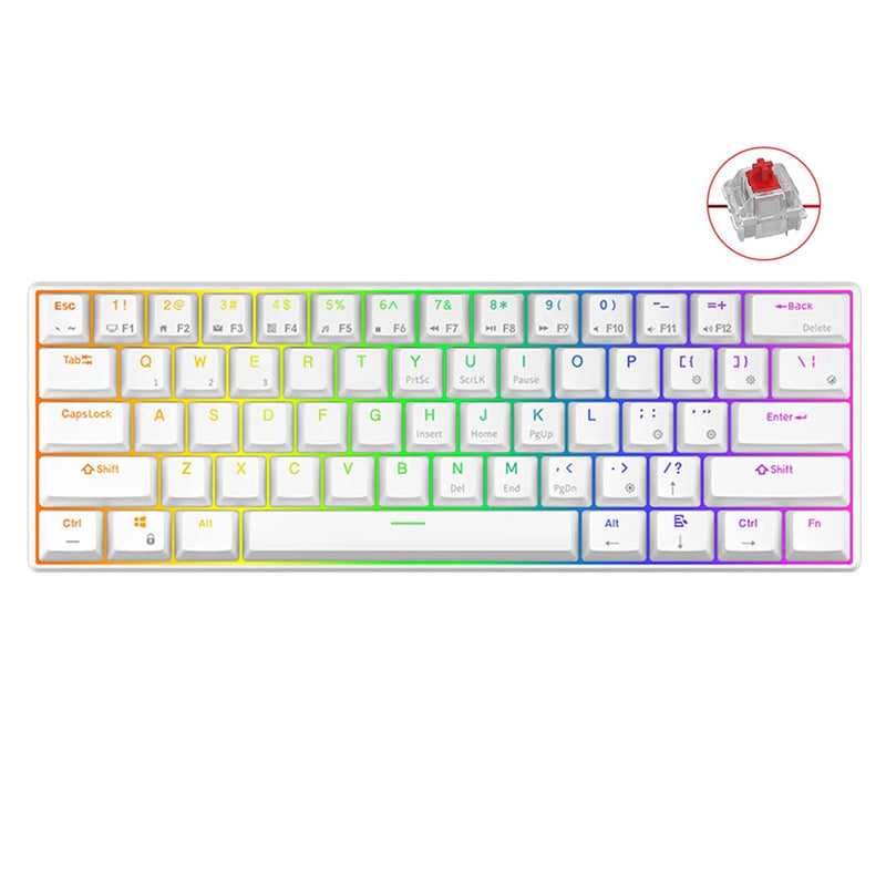 ROYAL KLUDGE RK61 TRI-MODE RGB 61 KEYS HOT SWAPPABLE MECHANICAL KEYBOARD WHITE (RED SWITCH) - DataBlitz