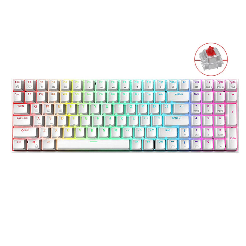 ROYAL KLUDGE RK100 TRI-MODE RGB 100 KEYS HOT SWAPPABLE MECHANICAL KEYBOARD WHITE (RED SWITCH) - DataBlitz