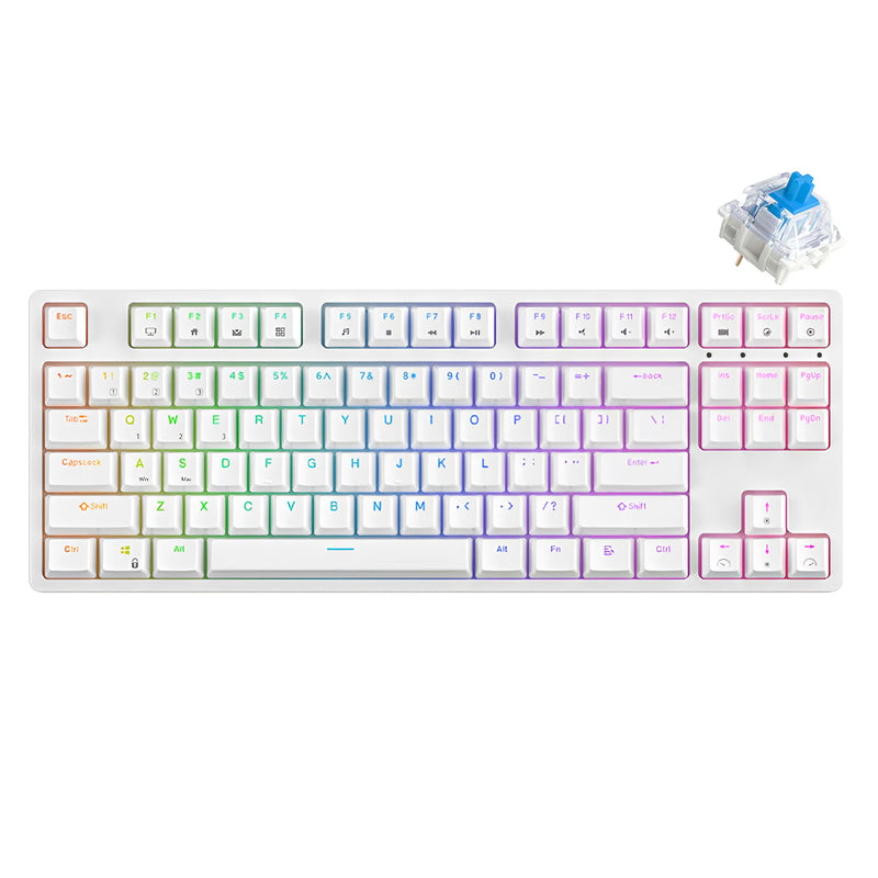 ROYAL KLUDGE RK87 TRI-MODE RGB 87 KEYS HOT SWAPPABLE MECHANICAL KEYBOARD WHITE (BLUE SWITCH) - DataBlitz