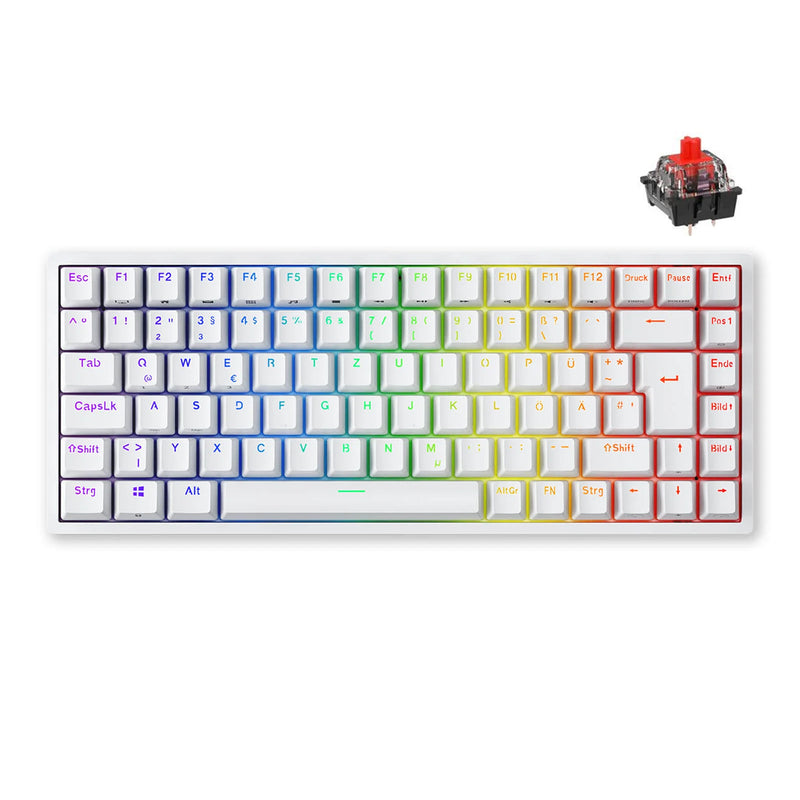 ROYAL KLUDGE RK84PRO TRI-MODE RGB 84 KEYS HOT SWAPPABLE MECHANICAL KEYBOARD WHITE (RED SWITCH) - DataBlitz