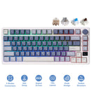 Royal Kludge RK-M75 Tri-Mode RGB 81 Keys Hot-Swappable Mechanical Keyboard