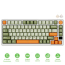 Royal Kludge RK-M75 Tri-Mode RGB 81 Keys Hot-Swappable Mechanical Keyboard Slate Cyan (Cream Switch, Beige Switch)