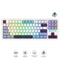 Redragon K728WBB RGB Antonium Pro 87 Keys 80% Gasket Mounted TKL Wireless Mechanical Keyboard