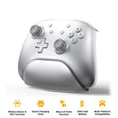 IINE Aether Radiant Silver Wireless Controller with Charging Dock for Nintendo Switch / Nintendo Switch OLED (L1018)