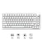 Ajazz AK820 Max No Light Wired 75% 82-Keys Gasket-Mounted South Facing Hot Swappable Mechanical Keyboard Knob