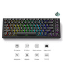 Akko TAC75 HE Shine-Through Black Wired ARGB Mechanical Keyboard