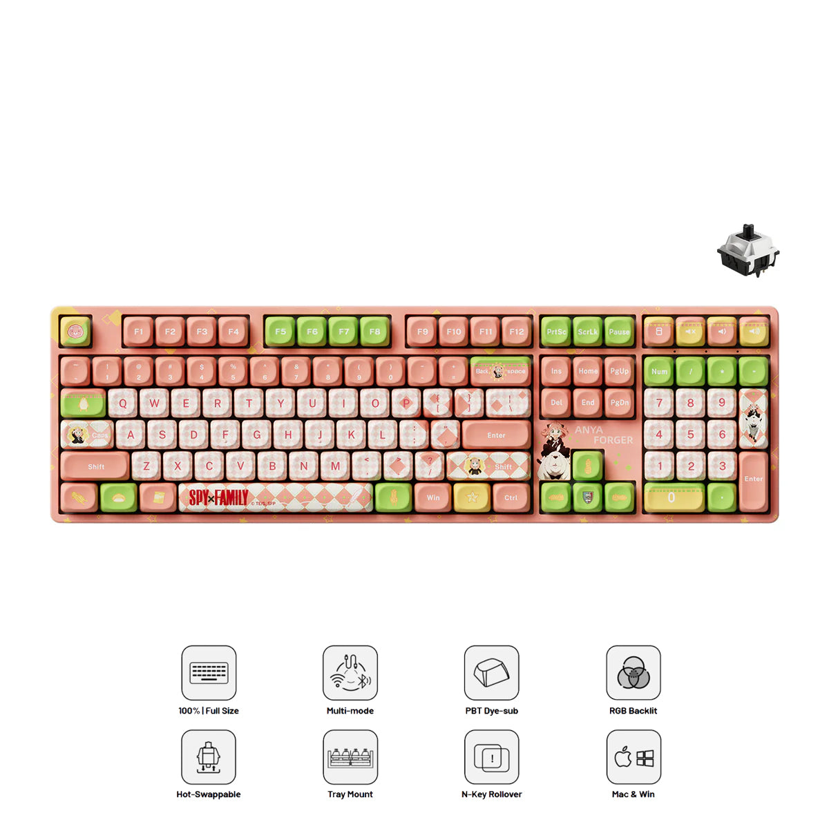 Akko Spy x Family 5108B Plus Multi-Mode RGB Hot-Swappable Mechanical Keyboard