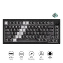 Akko 5075 V3 Wired ARGB Hot-Swappable Magnetic Keyboard (Gradient Hybrid Black Transparent) (Akko AstroAim Magnetic Switch) (001-075-085-060-062)