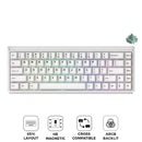 Akko Ray68 RGB Wired Mechanical Keyboard
