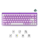 Akko Ray68 RGB Wired Mechanical Keyboard (Misty Purple & White)