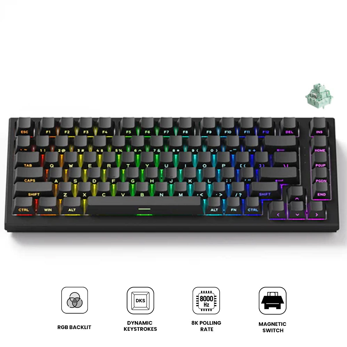 Akko TAC75 HE Wired RGB Magnetic Keyboard (Black) (Akko Glare Magnetic Switch)