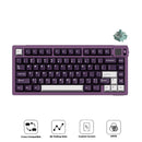 Akko MOD 007 V5 HE Wired RGB Magnetic Keyboard