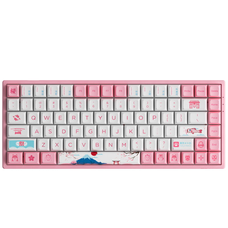 AKKO World Tour Tokyo R2 3084B Plus Hot-Swappable Multi-Mode RGB Mechanical Keyboard (AKKO CS Jelly Pink)