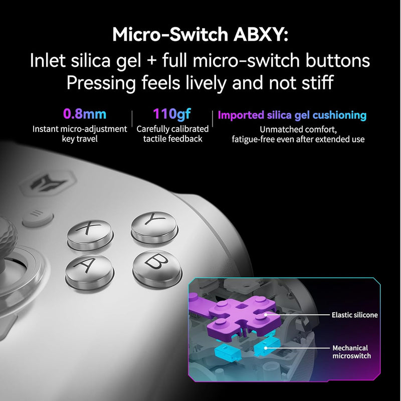 Bigbig Won Rainbow 3 Wireless Gaming Controller for Win 10&11 / Switch / Switch 2 / Android / iOS