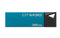 Kingston Data Traveler Mini 3.0 32GBFR (DTM30) Blue