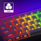 Veekos Shine60 HE Multi-Mode ARGB Backlit DIY Lightbox Hot-Swappable Magnetic Keyboard