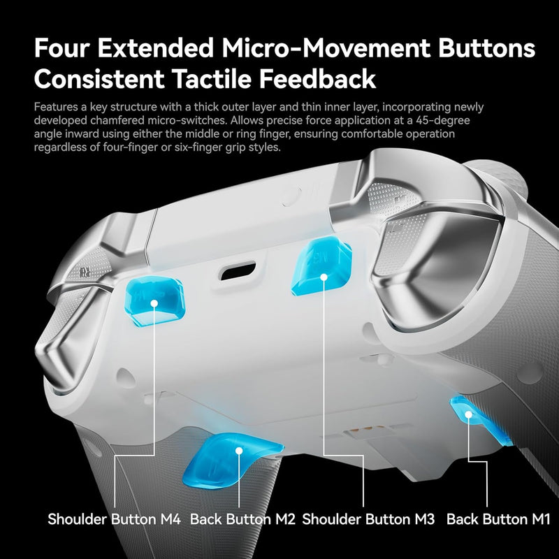 Bigbig Won Rainbow 3 Wireless Gaming Controller for Win 10&11 / Switch / Switch 2 / Android / iOS