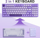 E-Yooso Z-94 Single Light 94-Keys Hot-Swappable Wired Mechanical Keyboard Light Purple (Blue Switch)