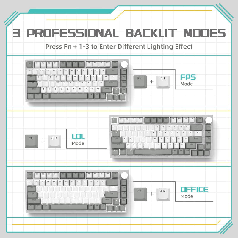 Ajazz AK820 White Backlit Wired 75% Hot-Swappable Mechanical Keyboard (Grey/White) (Red Switch)
