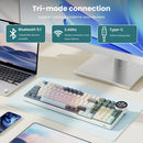 Royal Kludge RK-N99 Tri-Mode RGB 98 Keys Hot Swappable Mechanical Keyboard Moon