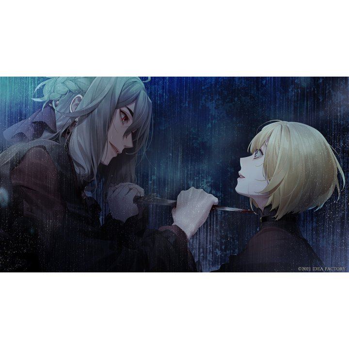 NINTENDO SWITCH VIRCHE EVERMORE-ERROR SALVATION