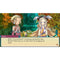 NSW Rune Factory 3 Special (US)